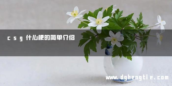 csg什么梗的简单介绍